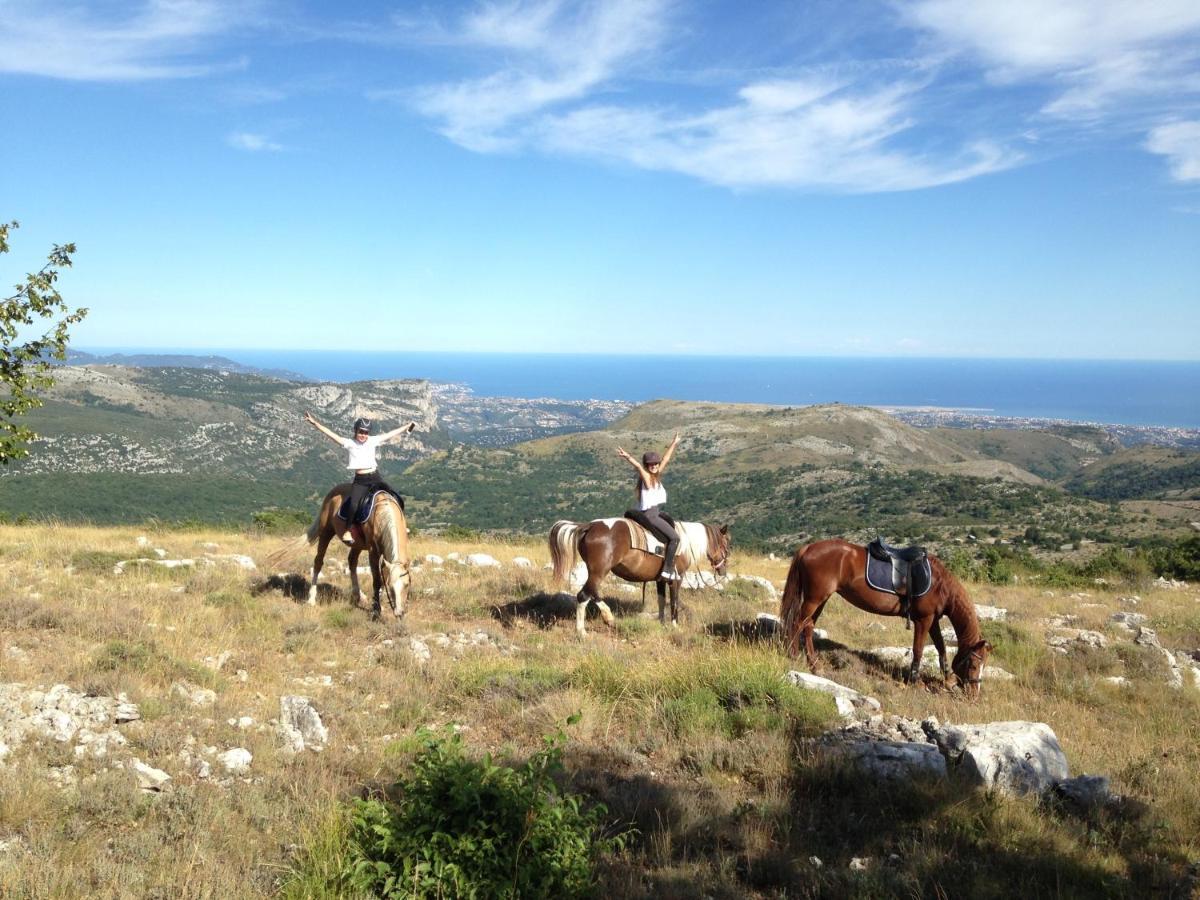 Hotel****Spa & Restaurant Cantemerle Vence Eksteriør bilde